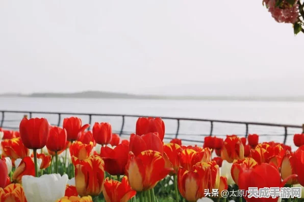 奇迹暖暖春日盛放，解锁10W高分攻略秘籍