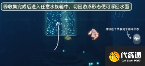 光遇潜海季探险揭秘，第二个任务全攻略与珍稀资源位置大公开