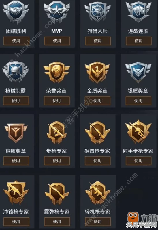 和平精英团队竞技徽章全揭秘，荣誉象征与竞技实力并存