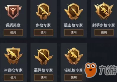 和平精英团队竞技徽章全揭秘，荣誉象征与竞技实力并存