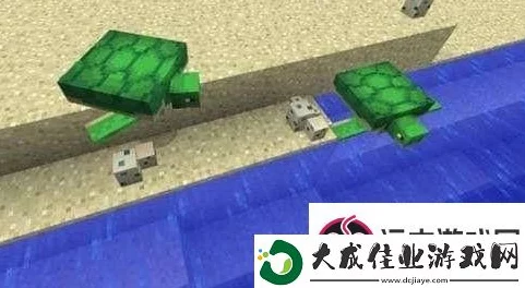 我的世界手游，揭秘海龟壳的珍稀获取途径