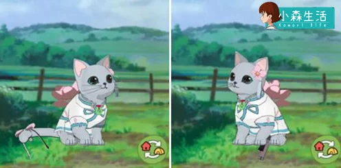 小森生活，猫粮获取秘籍大公开，萌宠喂养不再愁！