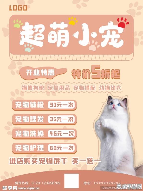 小森生活，猫粮获取秘籍大公开，萌宠喂养不再愁！