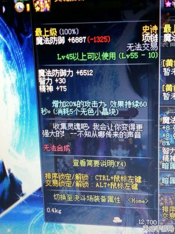 DNF深度解析，揭秘黄字伤害与白字伤害的真正含义