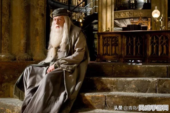 哈利波特魔法觉醒，揭秘魔杖杖芯大赛，深入探索杖芯的魔法奥秘