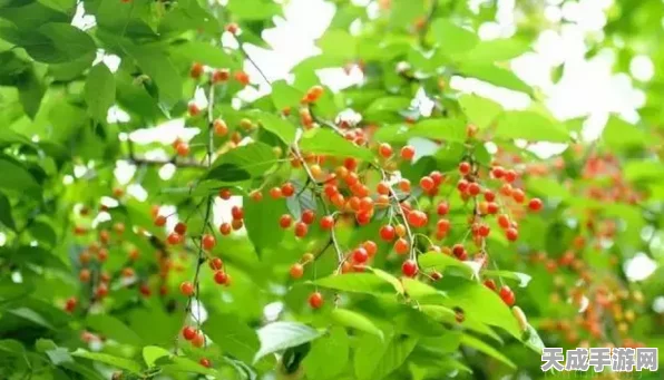 原神探索指南，揭秘优昙花神秘采摘地，助你轻松收集稀有材料