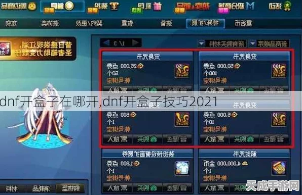 DNF85版本终极攻略，揭秘盒子选择新策略，助你称霸阿拉德大陆
