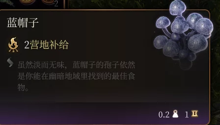 博德之门3，独家揭秘疗愈软帽获取秘籍及游戏重大更新前瞻