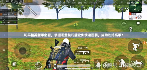 和平精英高手秘籍，揭秘快速优雅退出游戏房间的独门技巧