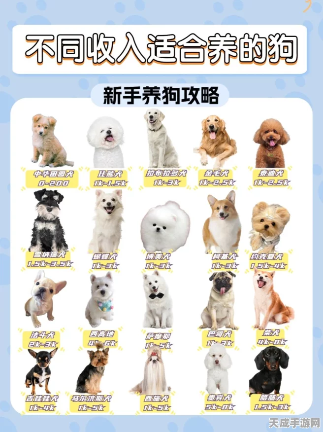 萌宠养成新风尚，我的休闲时光狗狗伙伴领养全攻略