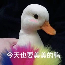 鹅鸭杀服务器维护倒计时，玩家翘首以盼，官方透露维护细节