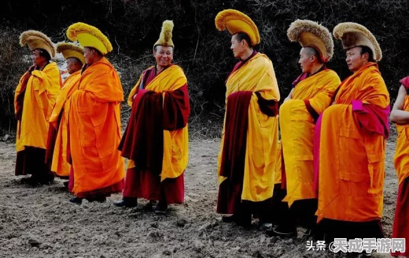 洛克王国果树秘境探索，解锁果树种植与收获的神秘之地