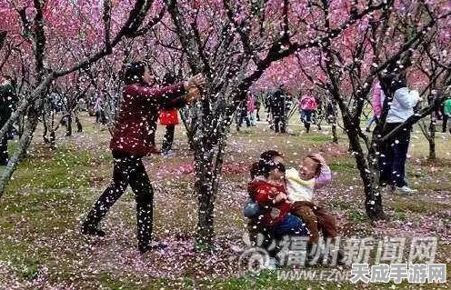 江南百景图深度探索，揭秘桃花村赵姐店铺，新趣闻与比赛细节大放送