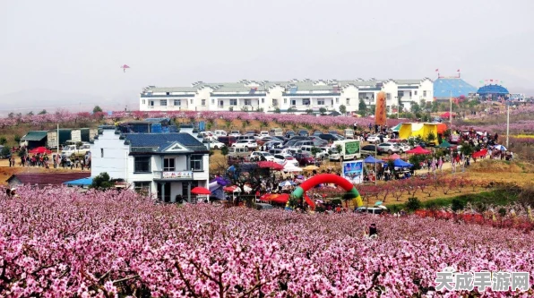 江南百景图深度探索，揭秘桃花村赵姐店铺，新趣闻与比赛细节大放送