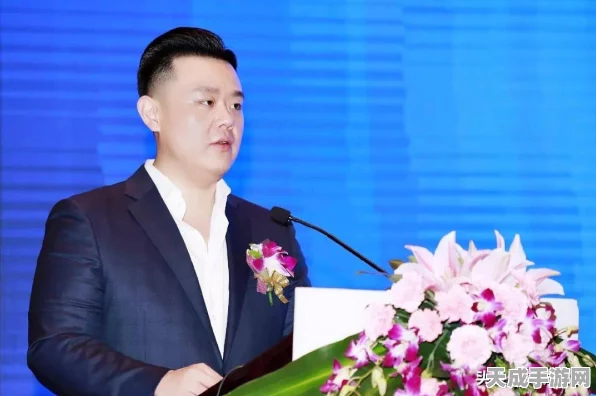 独家揭秘，中国首套汽车芯片认证审查体系横空出世，引领行业新篇章