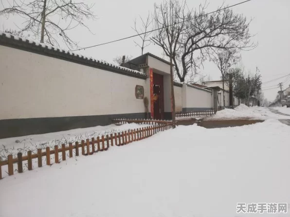 天涯明月刀手游，瀚海花奇遇全攻略，解锁隐藏任务与速通秘籍大揭秘