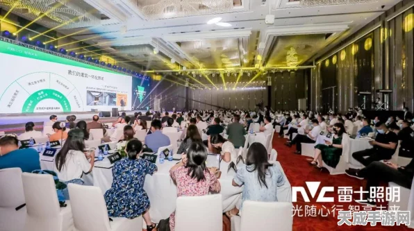 手游界新风向，雷士照明转型启示录，揭秘品牌、创新与管理如何赋能手游发展
