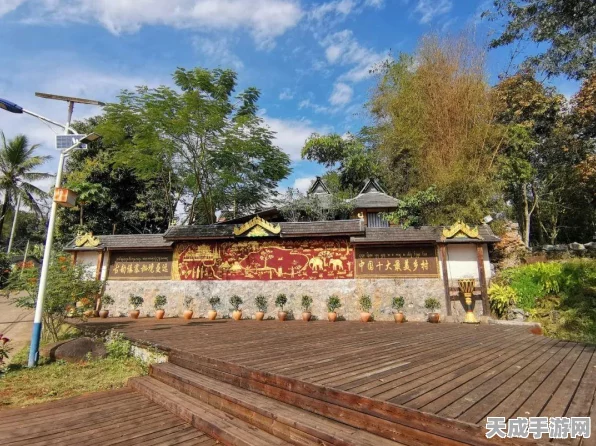 海岛奇兵博士挑战新高峰，825秘境探秘者征服全攻略