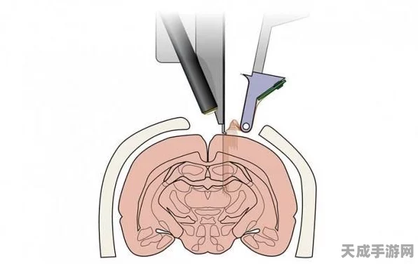 TYPE-C连接器，革新手游体验的全能接口新纪元