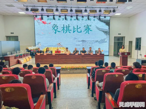 中国象棋大赛燃爆赛场，智慧与棋艺的巅峰对决全解析
