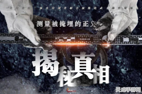 揭秘网络神探，窃贼射击战——枪林弹雨中的智慧较量