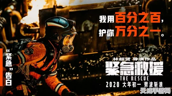 揭秘网络神探，窃贼射击战——枪林弹雨中的智慧较量