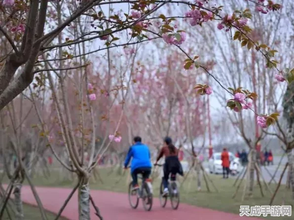 阴阳师雪落樱祭全攻略，樱林通关路线详解，速通秘籍大公开！