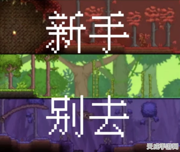 泰拉瑞亚深度攻略，腐化侵袭下的房屋拯救与坚固防线构建