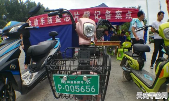 中国电动车海外夺冠，芯片自给率仅一成，破局之路何在？