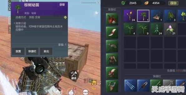 妄想山海园艺大赛，胡荽幼苗培育秘籍大公开
