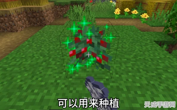 我的世界手游，甜浆果种植全攻略，解锁生存新技能！