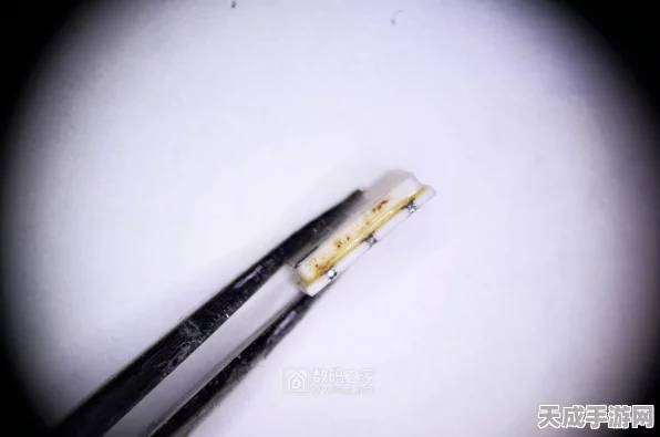 手游硬件揭秘，晶振技术大比拼，有源VS无源谁主沉浮？