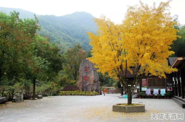 心动小镇手游乐园筹建大赛火爆开启，详解盖章流程，专属奖励等你拿！