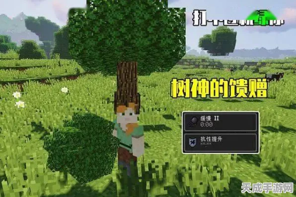 我的世界深度攻略，解锁信标五大神秘效果，打造终极游戏基地！