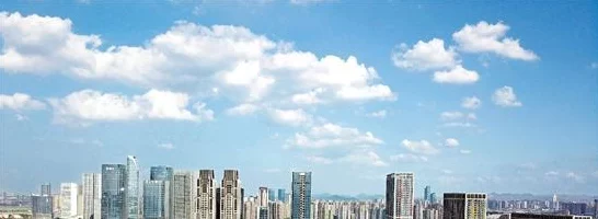 保卫萝卜3高手秘籍，揭秘码头06关金萝卜完美通关攻略