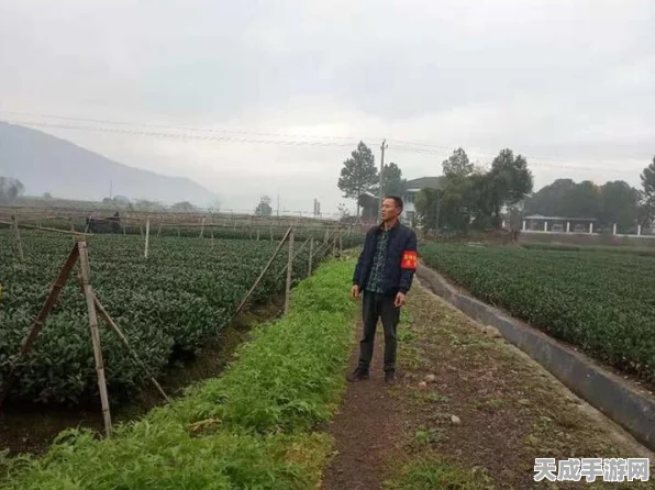 保卫萝卜3高手秘籍，揭秘码头06关金萝卜完美通关攻略