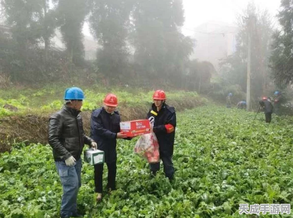 保卫萝卜31关终极挑战，萝卜大战完美通关秘籍大揭秘