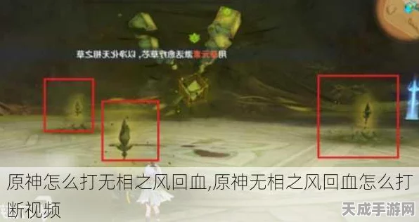 原神攻略秘籍，揭秘阻止无相之风回血的高效战术