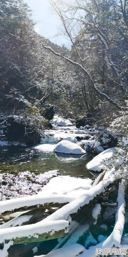 梦幻西游手游冰雪盛宴，雪人激战狂欢盛典全攻略
