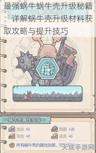 最强蜗牛攻略，解锁顶尖蜗牛选择秘籍