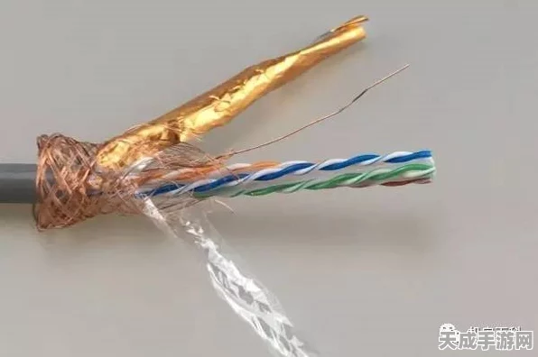 手游界新潮流，揭秘屏蔽双绞线在游戏设备中的绞合奥秘