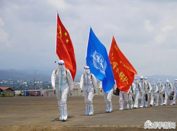 战地无疆法爆体系终极揭秘，冠军阵容搭配与实战精髓