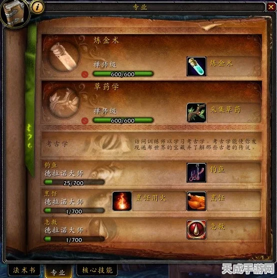魔兽世界中级进阶秘籍，解锁高效升级与技能提升的全攻略