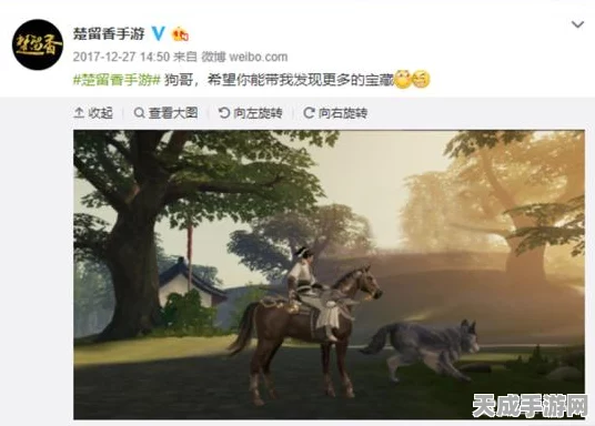 楚留香手游，揭秘宝藏寻觅之旅，探寻江湖奇遇！
