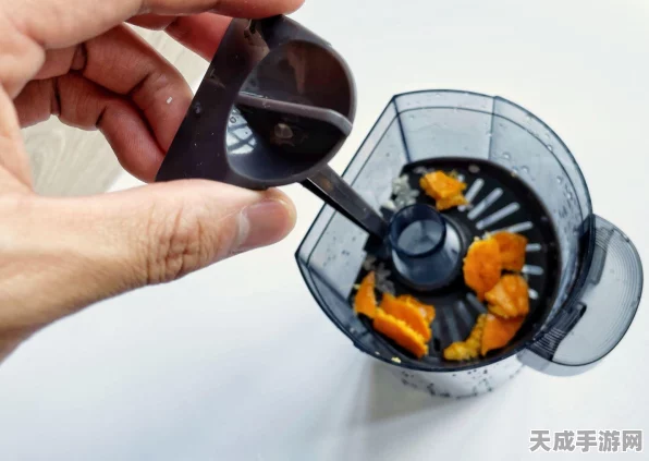 摩尔庄园手游盛宴，果蔬饼制作大赛全攻略，美味秘籍等你来解锁！