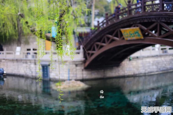 江南百景图深度探索，解锁曲项琵琶专属秘密与制胜攻略