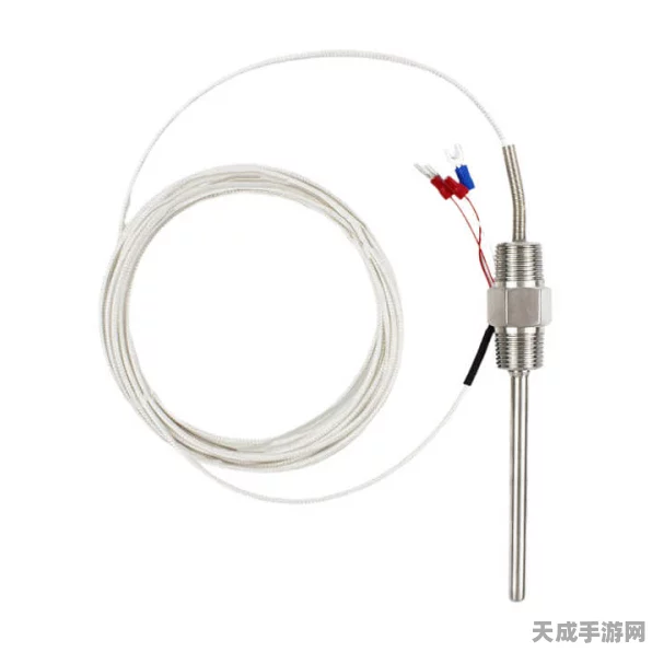 e型温控仪能否兼容k型热电偶？技术解析与最新动态