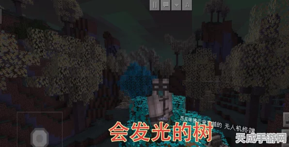 我的世界深度揭秘，打造传奇疾风戒指，解锁极速冒险新篇章