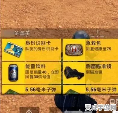 和平精英高手速成秘籍，掌握这些实战技巧，助你登顶吃鸡巅峰