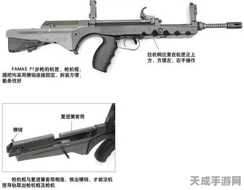 绝地求生枪王争霸，FAMAS步枪全面剖析与实战技巧揭秘